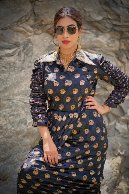 Rajasthani Silk Vintage Sari Gown